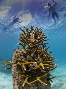 Isla Mujeres, Underwater sculpture Museum